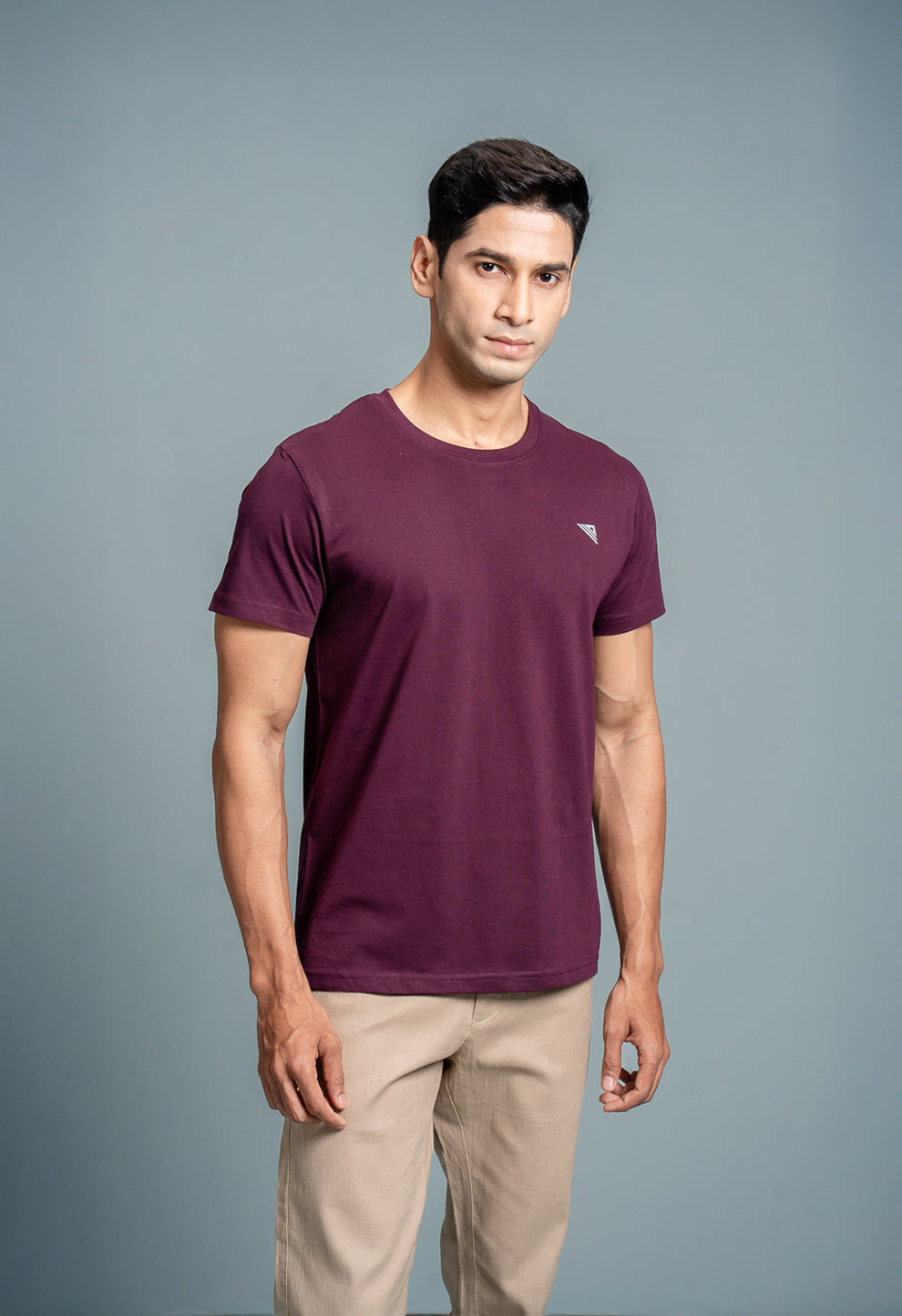 Men 100% Cotton Smart Fit Expert Tee Wine ET16