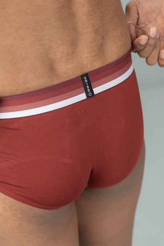 Men TENCEL™ Modal Micro Elastane Stretch Brief Maroon